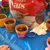 flowerpotplanting1
